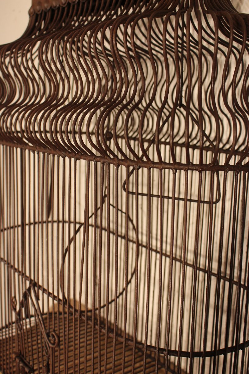 Birdcage-photo-2