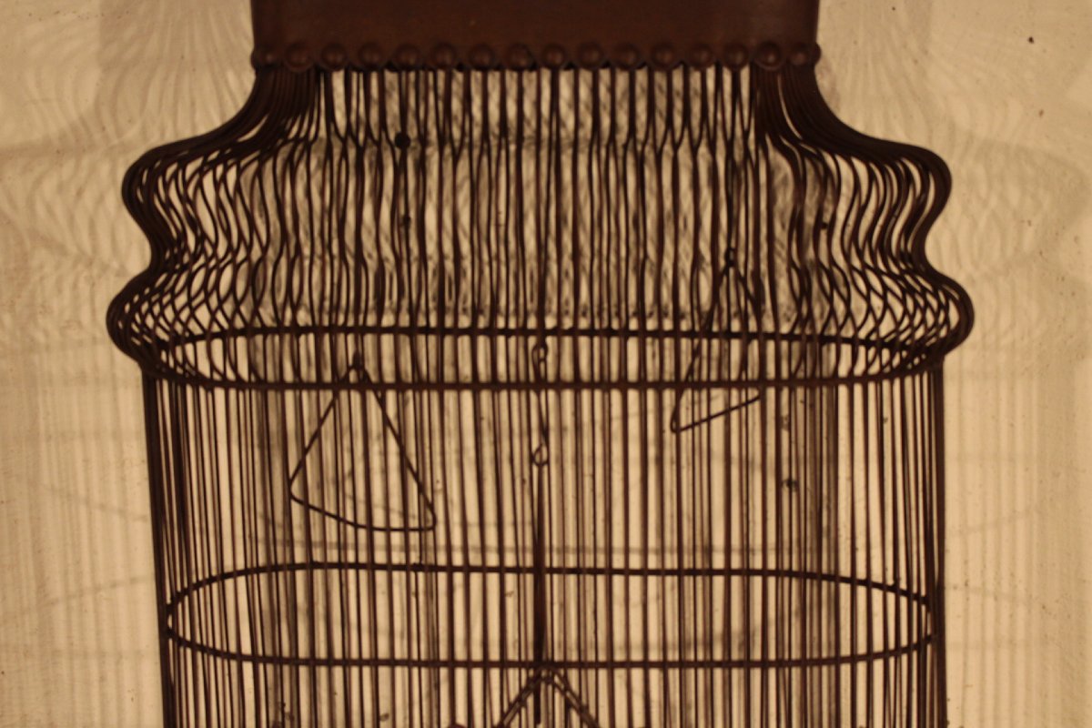 Birdcage-photo-3