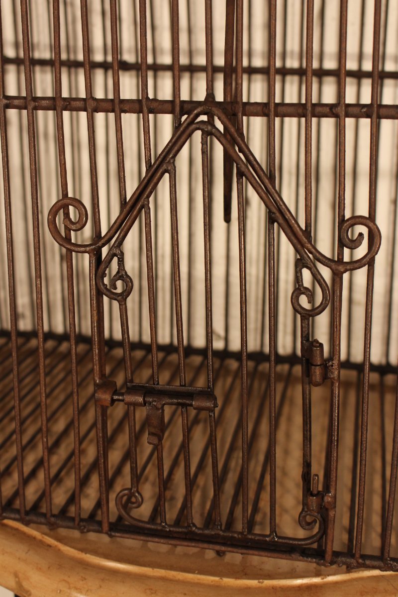 Birdcage-photo-4