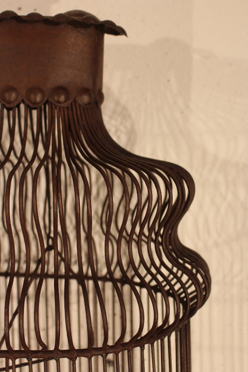 Birdcage-photo-2
