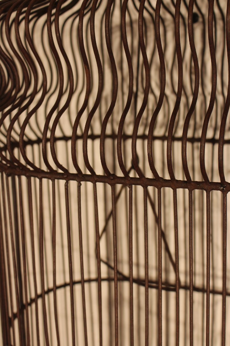 Birdcage-photo-3
