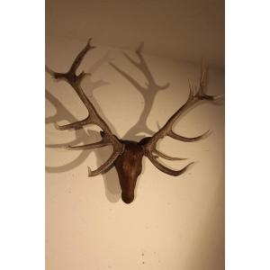  Wooden Deer Head