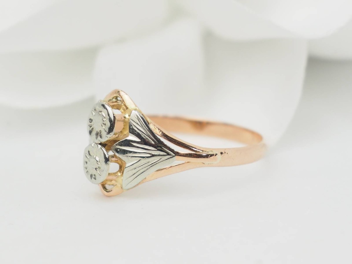 Art Nouveau Two-tone Gold Ring-photo-1