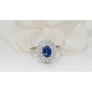 Double Entourage Ring In White Gold, Sapphire And Diamonds