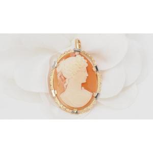 Pendant- Brooch In Yellow Gold And Cameo 