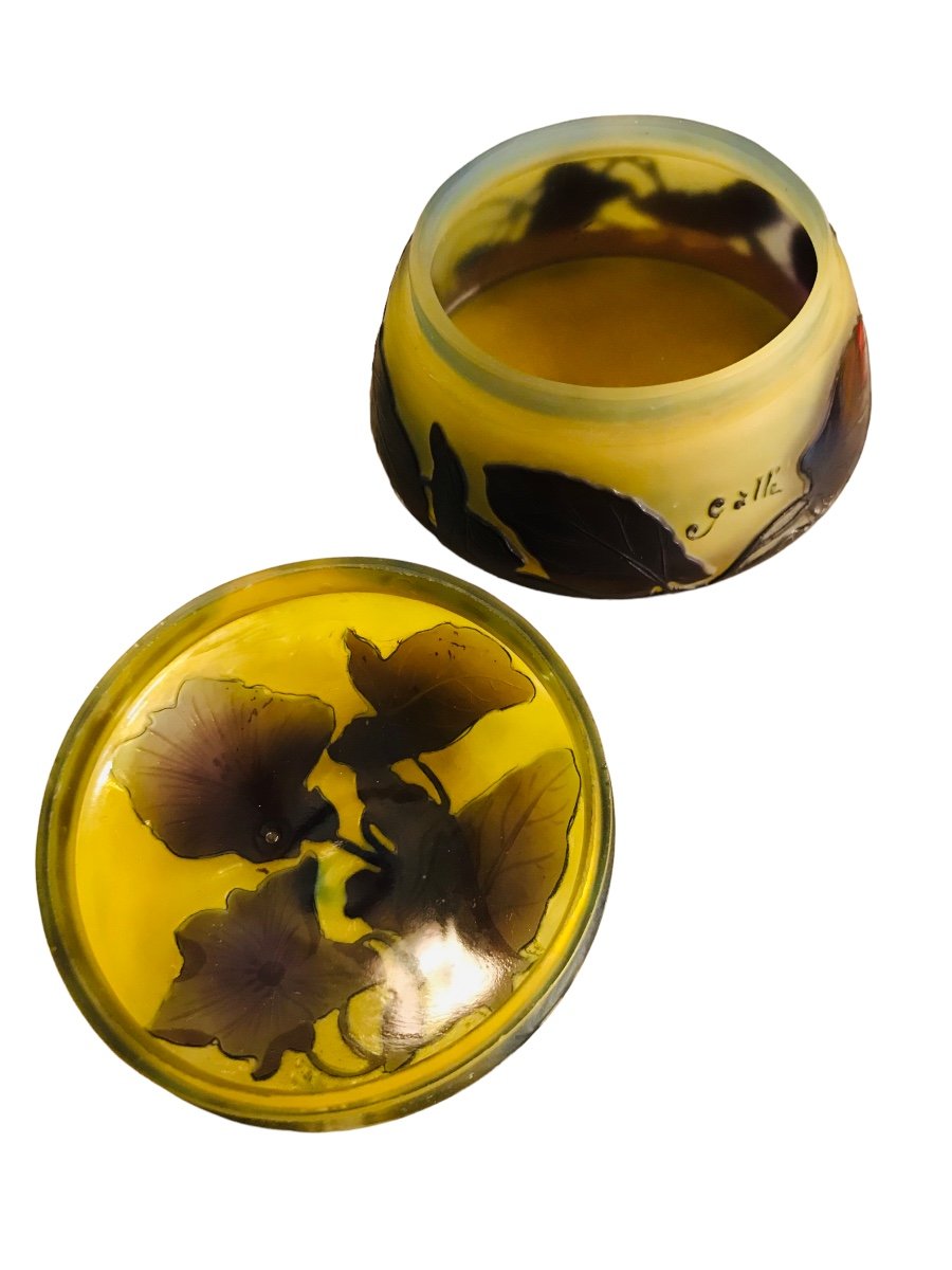 Pate De Verre Signe Galle-photo-1