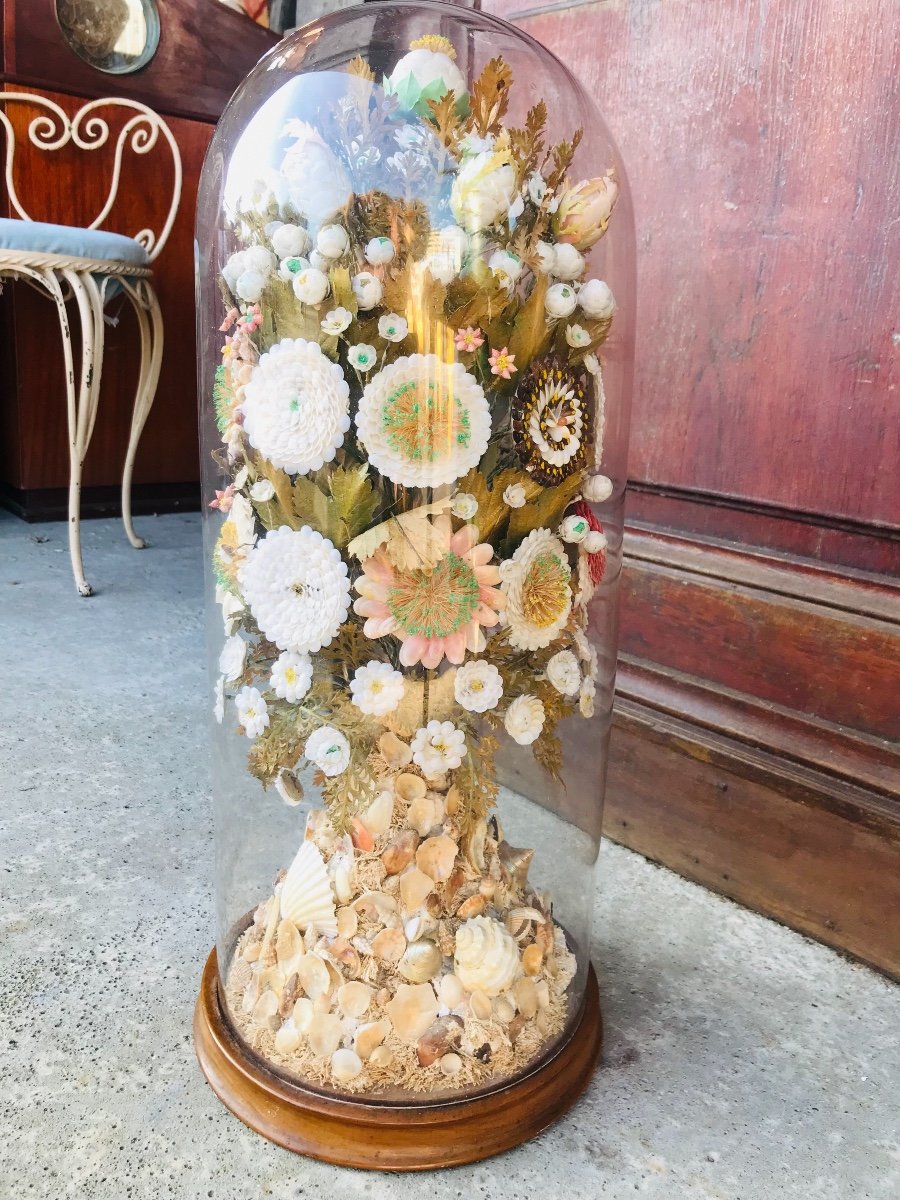 Globe De Marié En Coquillage -photo-3