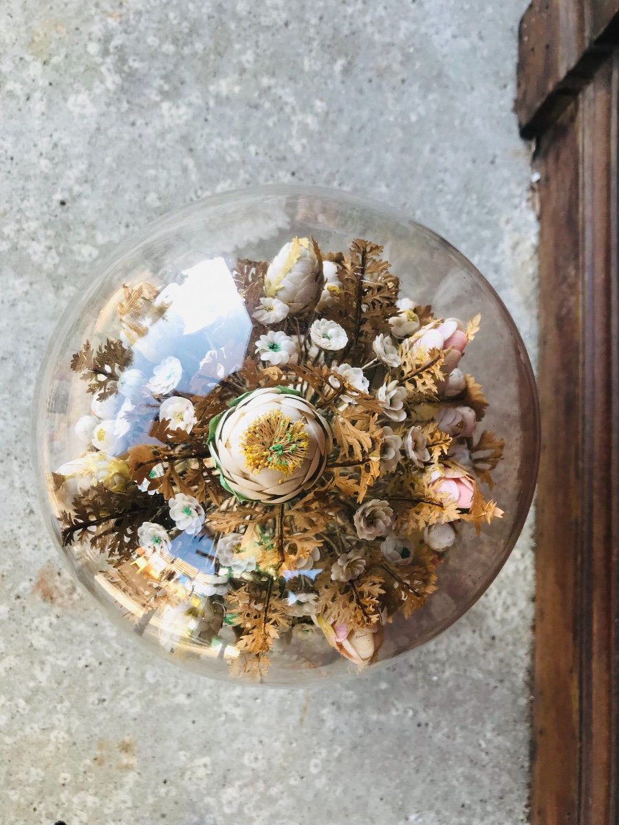 Globe De Marié En Coquillage -photo-4