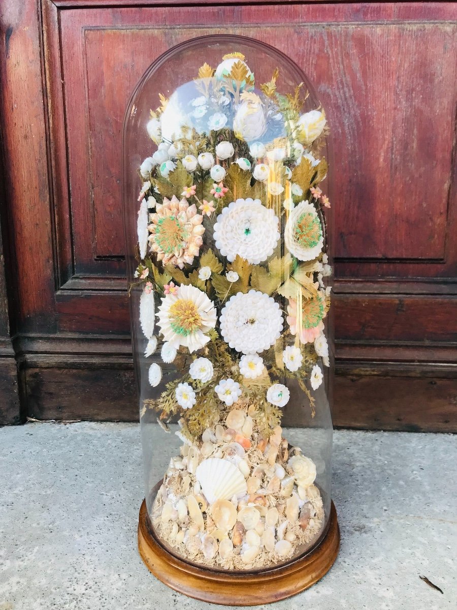 Globe De Marié En Coquillage 