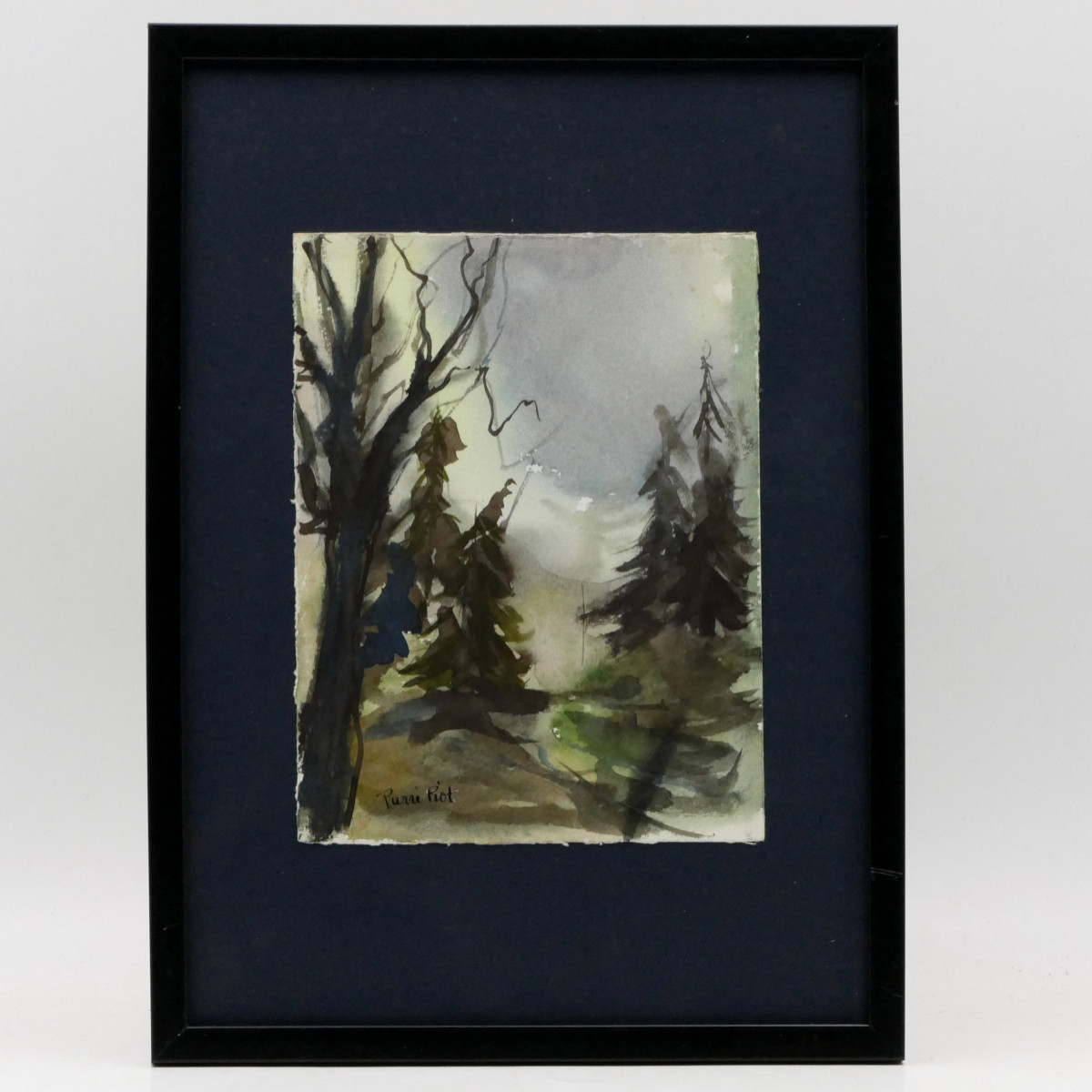 Pierre Piot (1921 - 1998), 