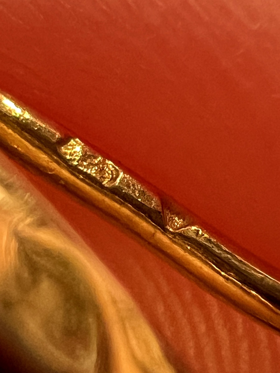 Late 19th-century 18-karat Gold Stick Pin With Ruby And Old-cut Diamonds, Fly Motif-photo-1