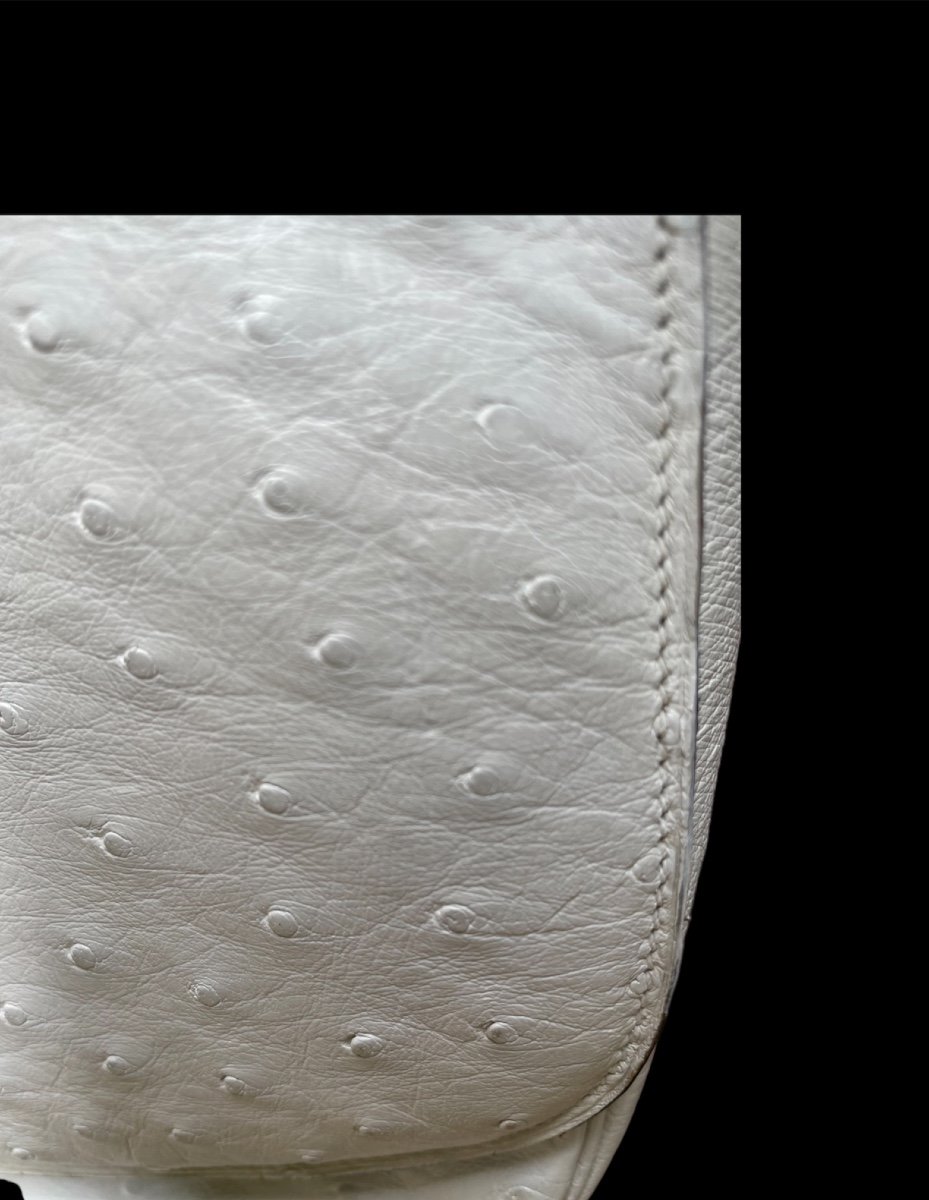 Céline Vintage Ostrich Bag With Stirrup Buckle-photo-5