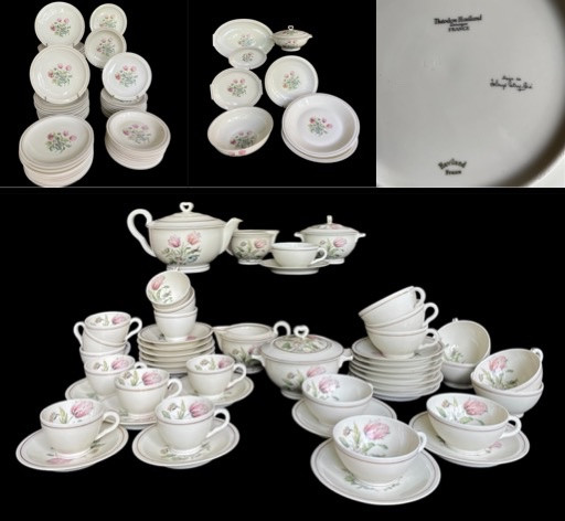 SERVICE DE TABLE THÉODORE HAVILAND DÉCOR DE SOLANGE PATRY-BIÉ 111 PIÈCES  PORCELAINE DE LIMOGES-photo-1