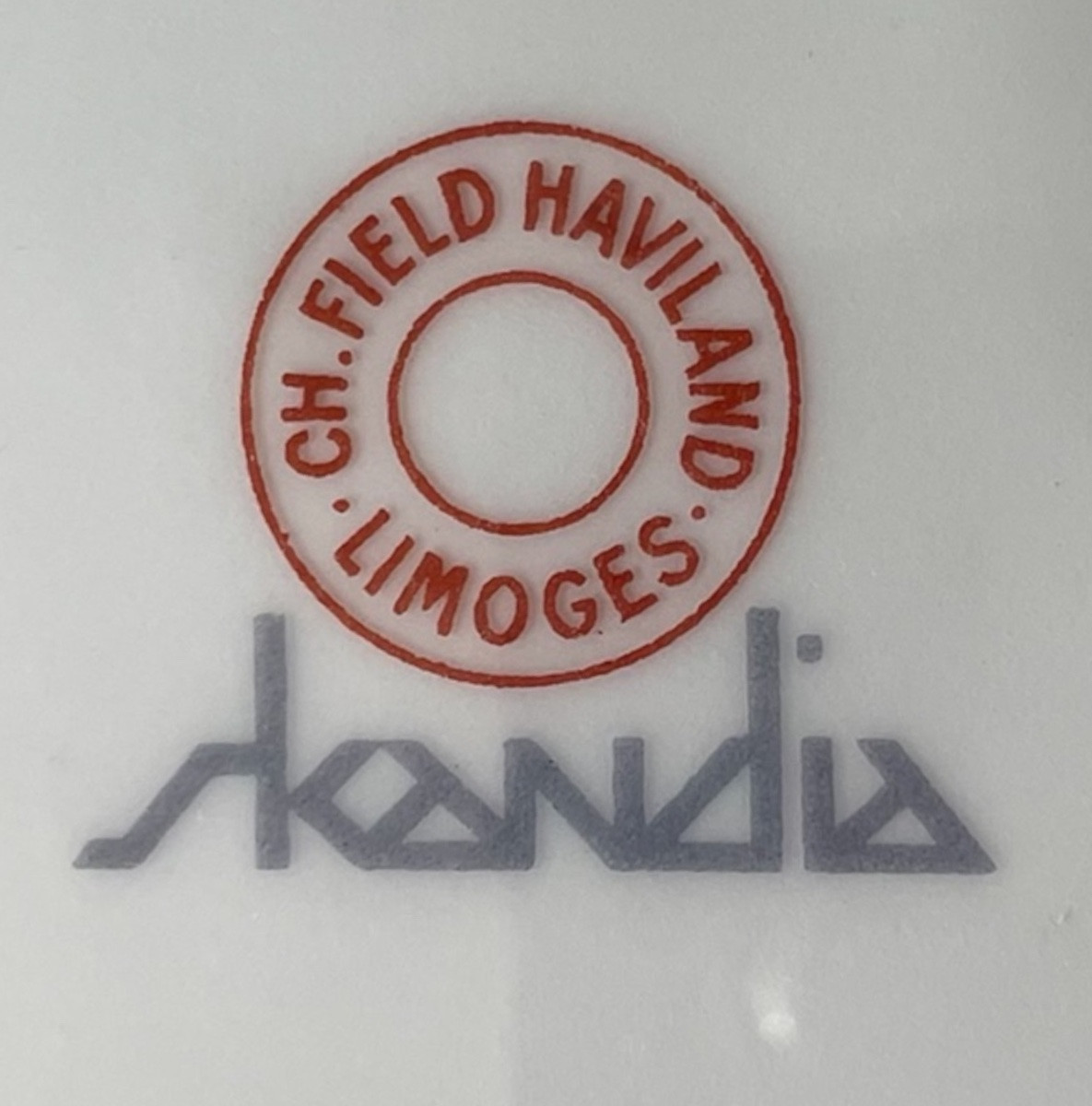 SERVICE DE TABLE HAVILAND MODÈLE SKANDIA  PORCELAINE LISERÉ BLEU ET ARGENT-photo-1