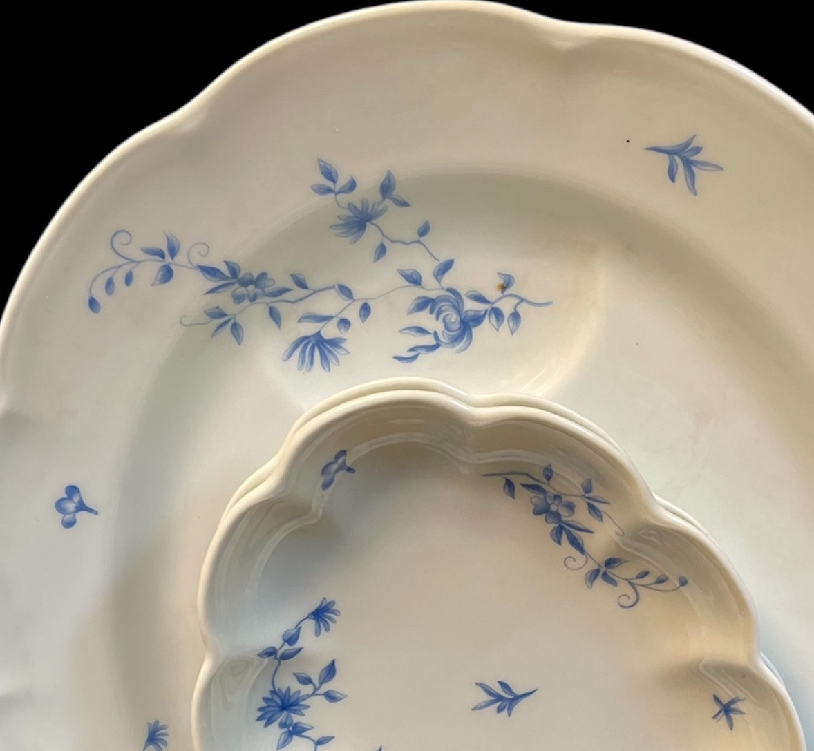 Haviland 23-piece Limoges Porcelain Table Set, Blue Foliage Model-photo-1
