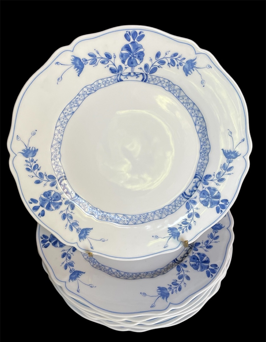 10-piece Limoges Porcelain Dinner Service From Maison Haviland, Angevine Model -photo-4