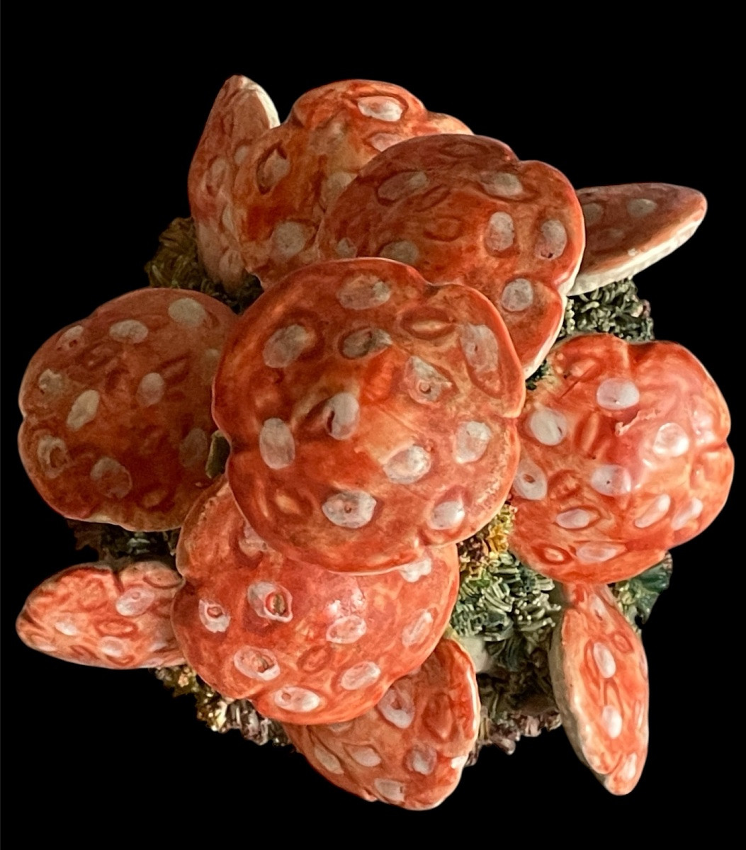 TOPIAIRE DE CHAMPIGNONS ET MOUSSE TROMPE-L'ŒIL EN PORCELAINE  TOSCANE. CÉRAMIQUE -photo-1