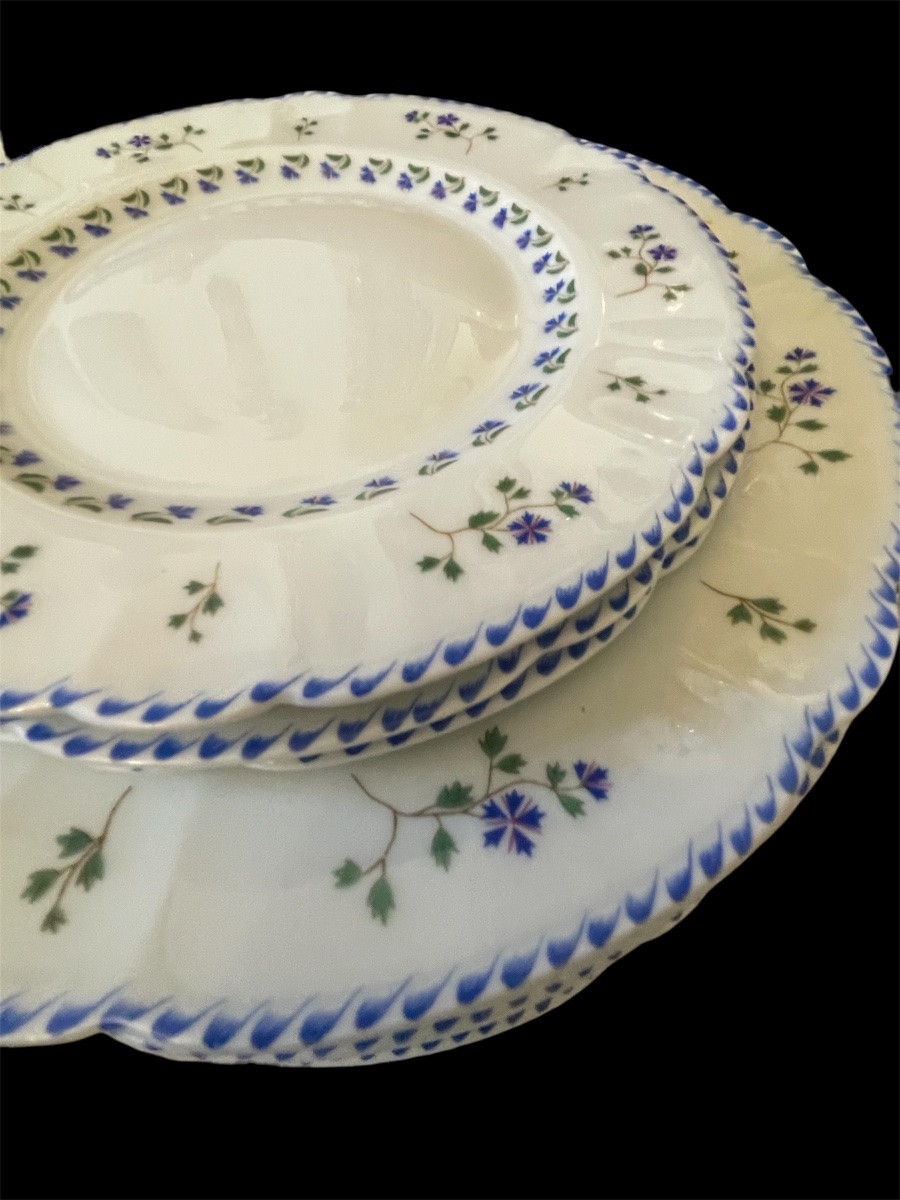Haviland Tableware, Blueberry Pattern, Mozart Shape, Limoges Porcelain -photo-1