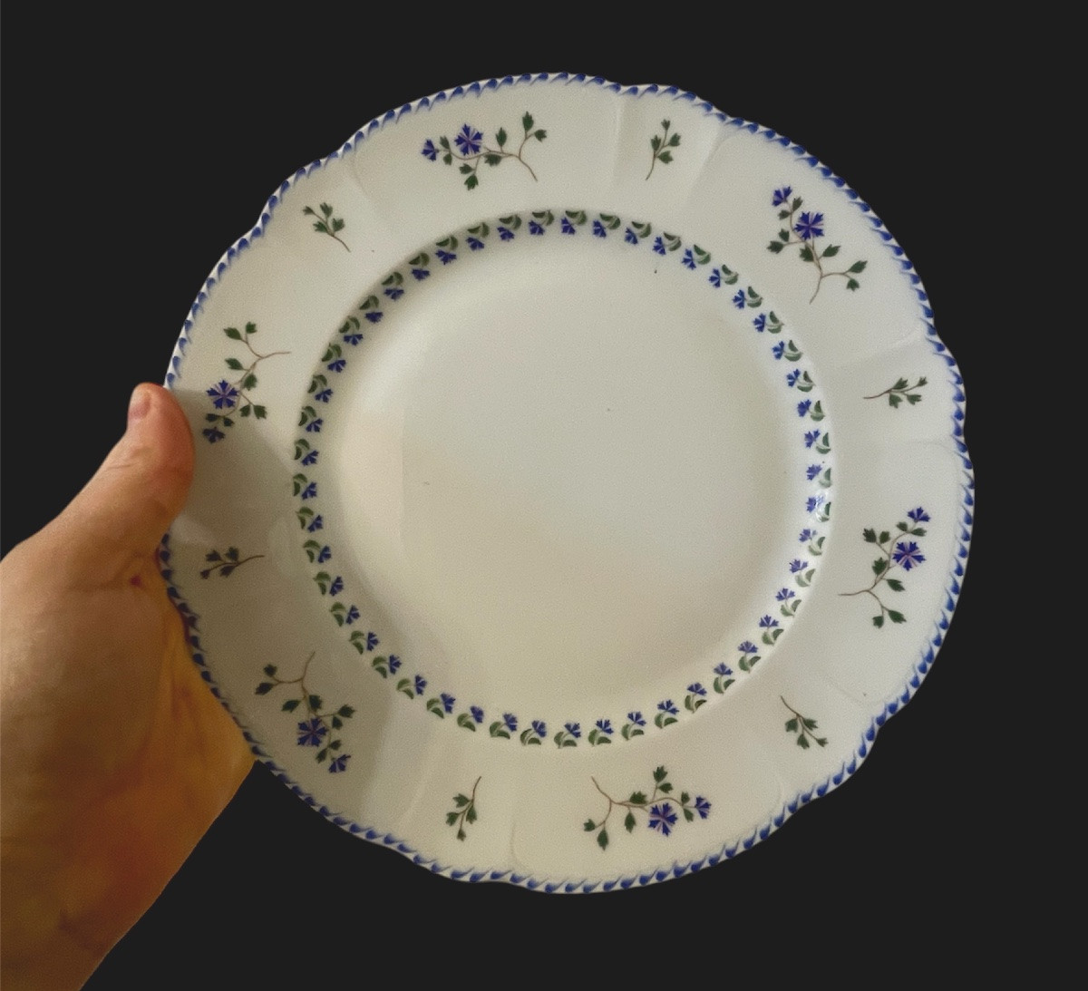 Haviland Tableware, Blueberry Pattern, Mozart Shape, Limoges Porcelain -photo-2