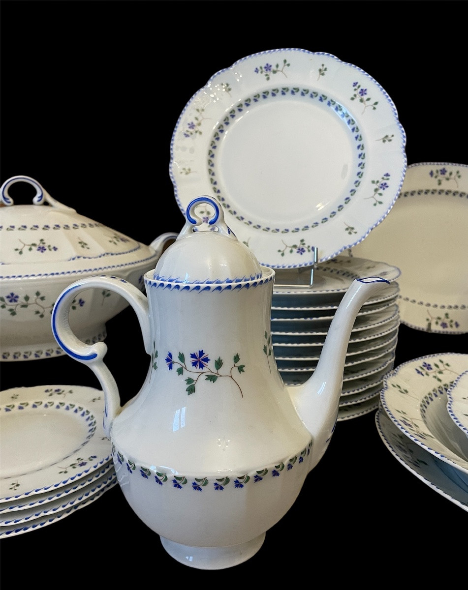 Haviland Tableware, Blueberry Pattern, Mozart Shape, Limoges Porcelain -photo-6