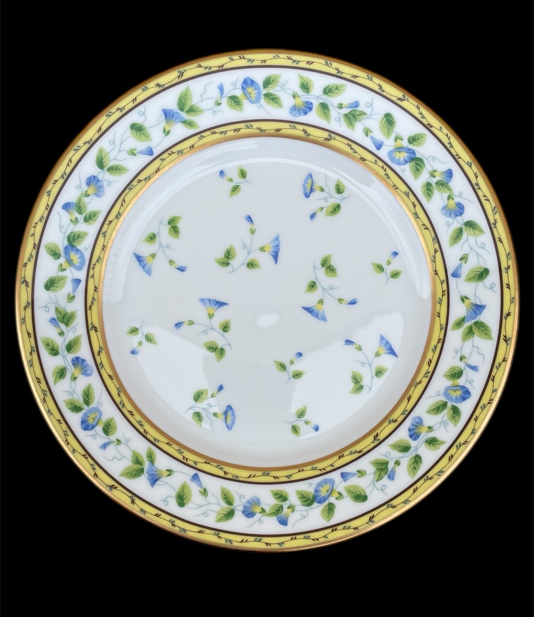 SERVICE DE TABLE DE LA MAISON RAYNAUD MODÈLE LISERONS EN PORCELAINE DE LIMOGES DÉCOR SÈVRES  -photo-2