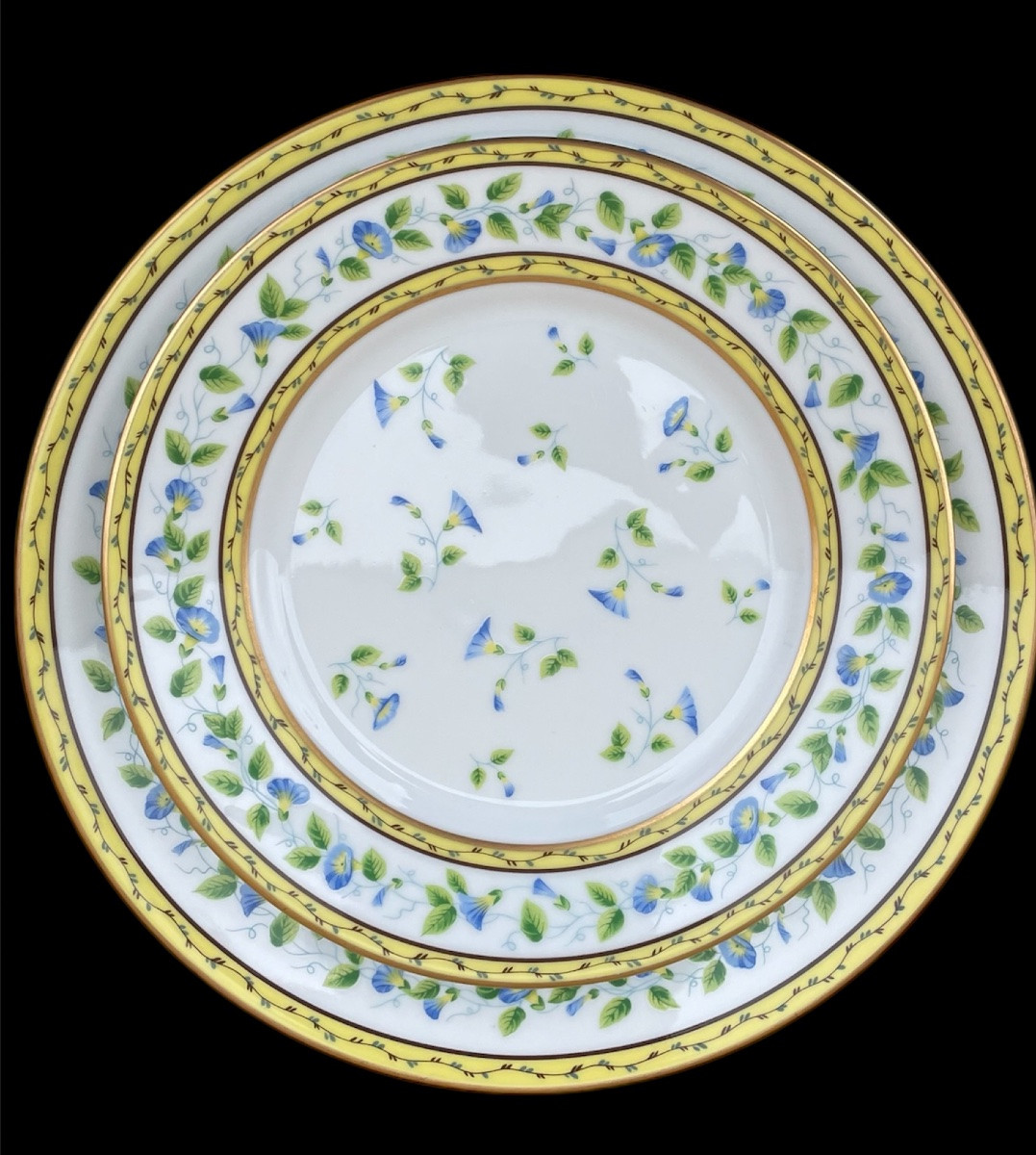 SERVICE DE TABLE DE LA MAISON RAYNAUD MODÈLE LISERONS EN PORCELAINE DE LIMOGES DÉCOR SÈVRES  -photo-3