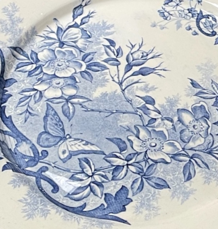 SÉRIE DE 6 ASSIETTES EN FAÏENCE CREIL & MONTEREAU  MODÈLE PAPILLONS TERRE DE FER 1900-photo-5