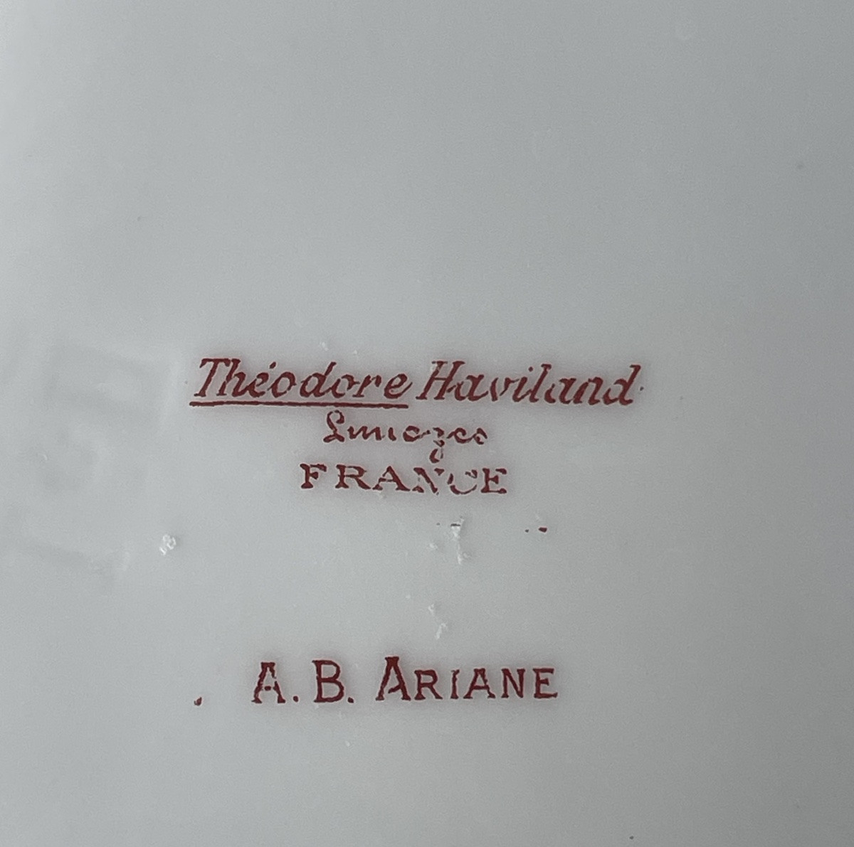 12 ASSIETTES À ASPERGES THÉODORE HAVILAND MODÈLE  AUX BLEUETS   PORCELAINE DE LIMOGES  BARBEAUX-photo-4
