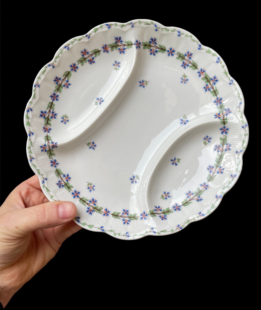 12 ASSIETTES À ASPERGES THÉODORE HAVILAND MODÈLE  AUX BLEUETS   PORCELAINE DE LIMOGES  BARBEAUX-photo-6