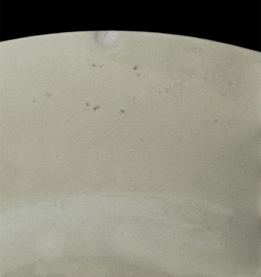 Set Of 19 Creil & Montereau Earthenware Plates, -photo-7