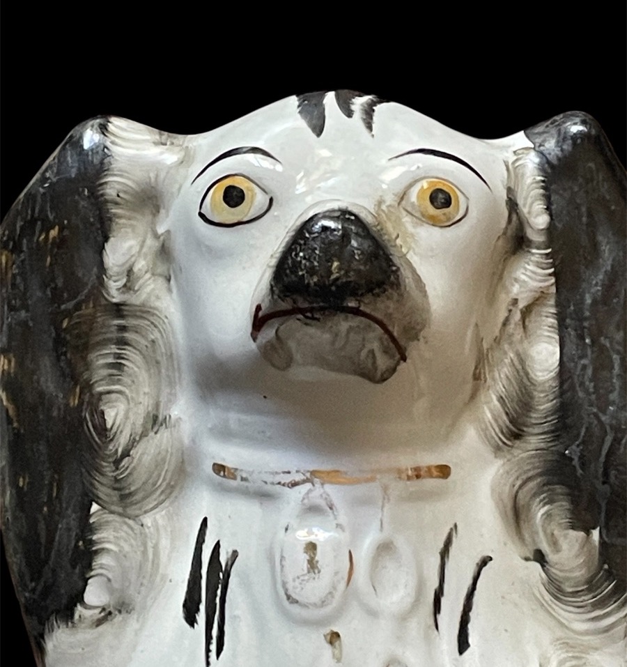 PAIRE DE CHIENS EN CÉRAMIQUE STAFFORDSHIRE ANGLETERRE XIXᵉ SIÈCLE ÉPOQUE VICTORIENNE -photo-3