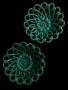 1760039-alb-6a05ce027bb76.jpg