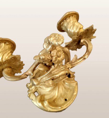 Paire d'appliques en bronze doré style Louis XV-photo-4