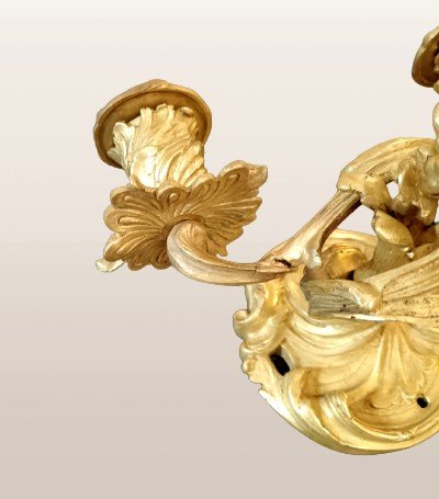 Pair Of Louis XV Style Gilded Bronze Sconces-photo-2