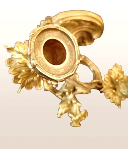 Paire d'appliques en bronze doré style Louis XV-photo-5