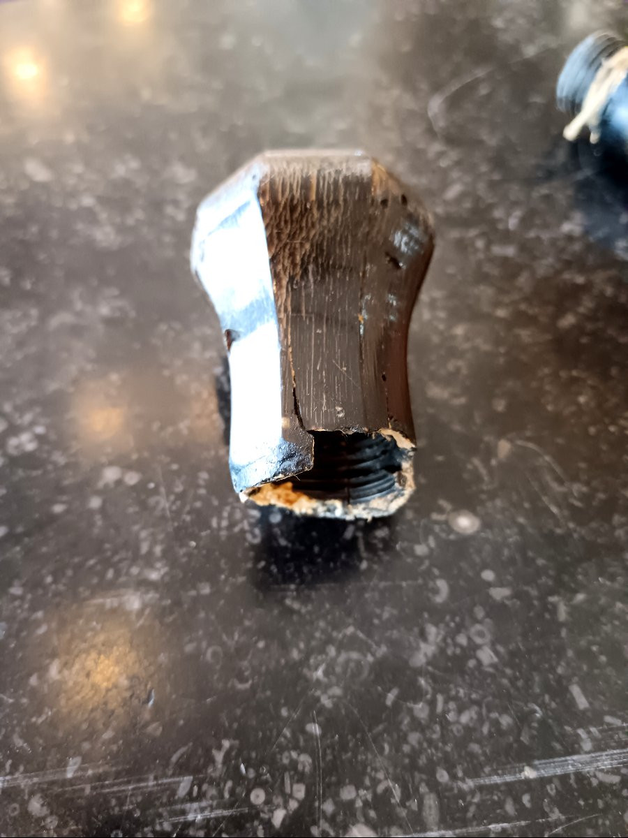Saddler's Companion Cane -photo-4