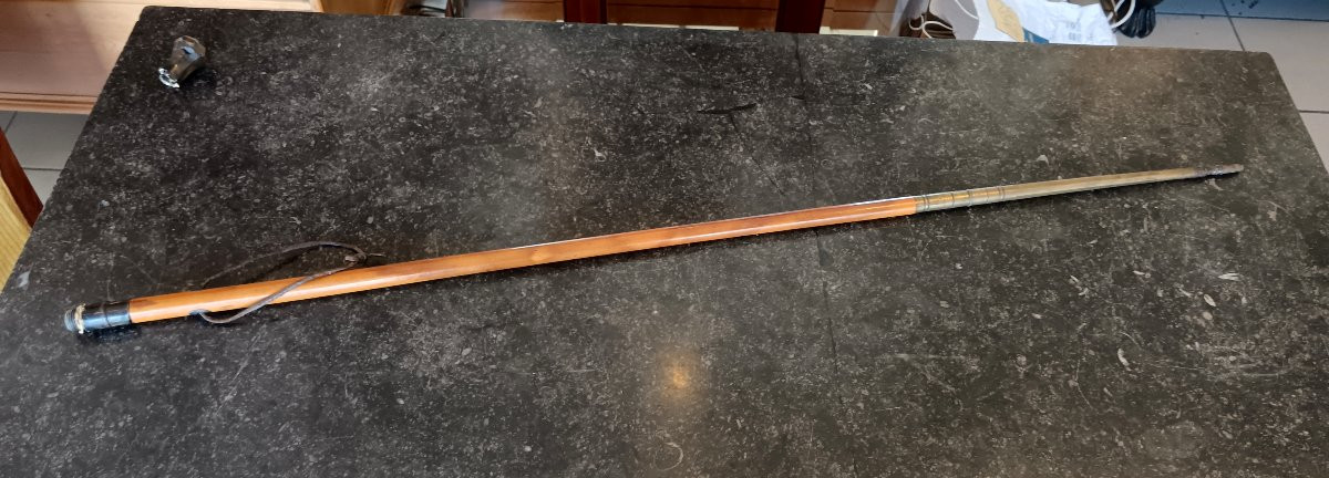 Saddler's Companion Cane -photo-2