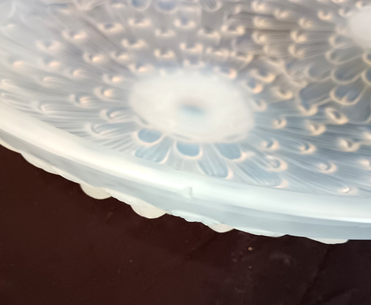 "marguerite" Cup By Pierre d'Avesn-photo-5
