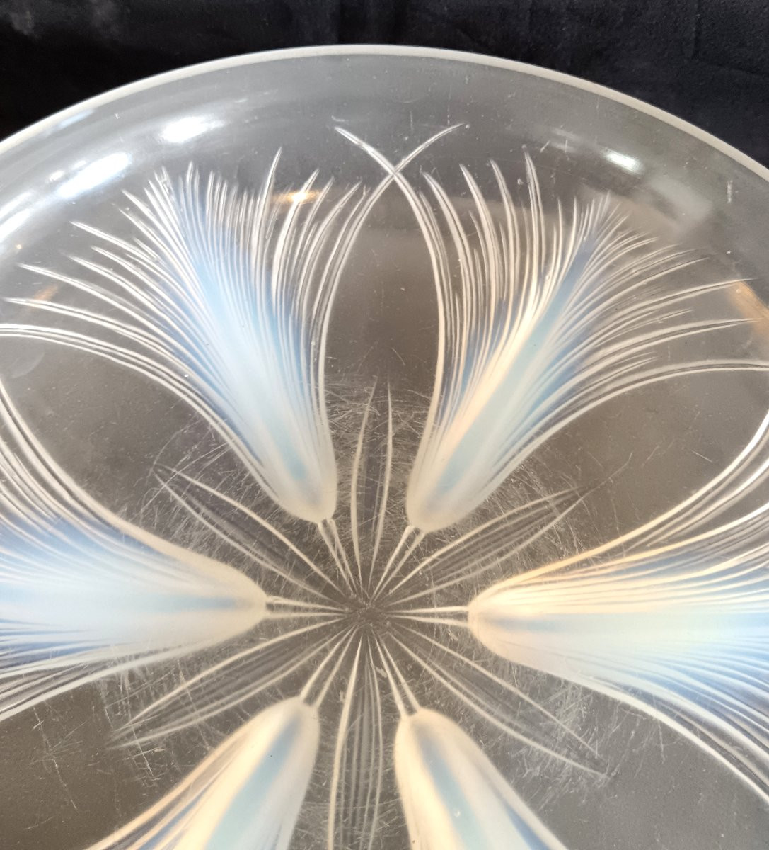 Coupe aux Palmes en verre opalescent par Verlys-photo-2