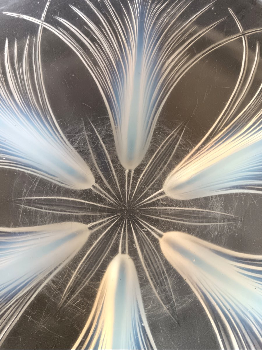 Coupe aux Palmes en verre opalescent par Verlys-photo-3