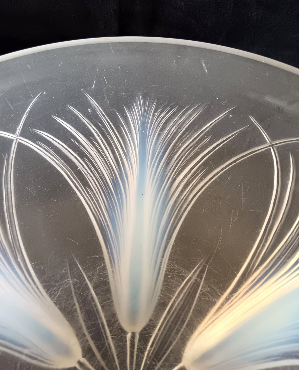 Coupe aux Palmes en verre opalescent par Verlys-photo-4