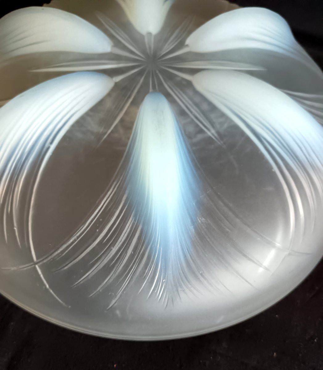 Coupe aux Palmes en verre opalescent par Verlys-photo-3