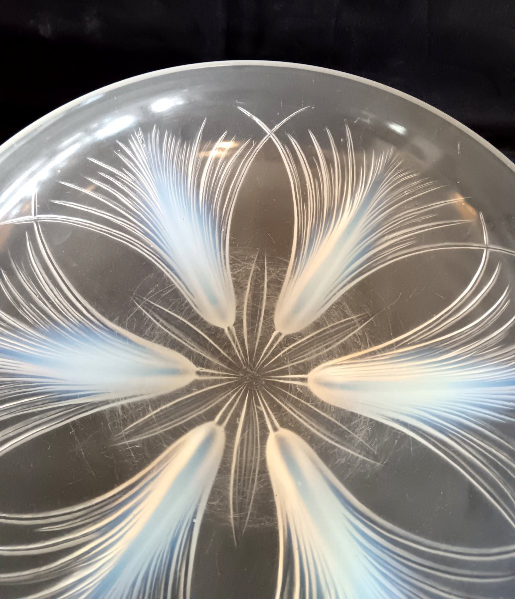 Coupe aux Palmes en verre opalescent par Verlys-photo-4