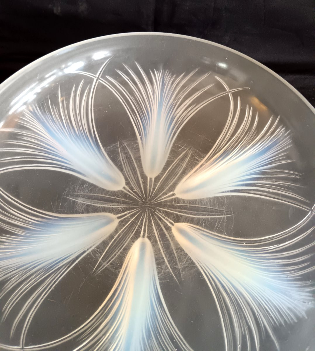 Coupe aux Palmes en verre opalescent par Verlys-photo-5