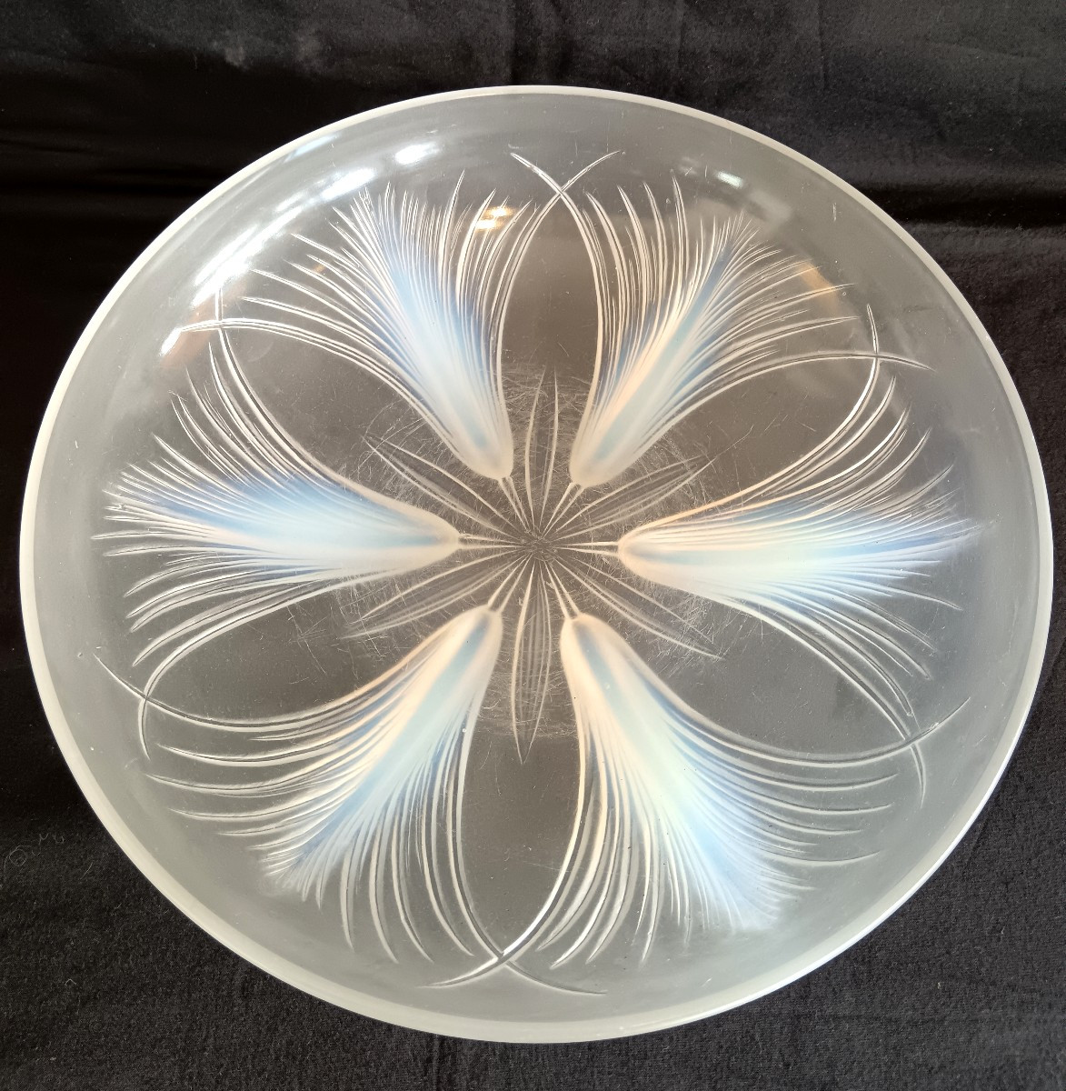 Coupe aux Palmes en verre opalescent par Verlys