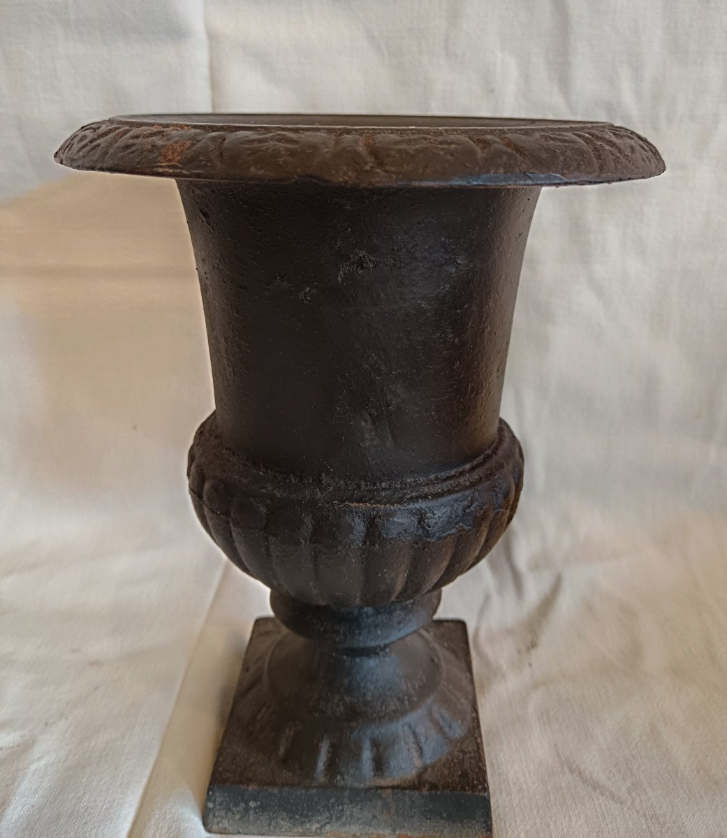Pair Of Medicis Cast Iron Vases 20th Century-photo-4