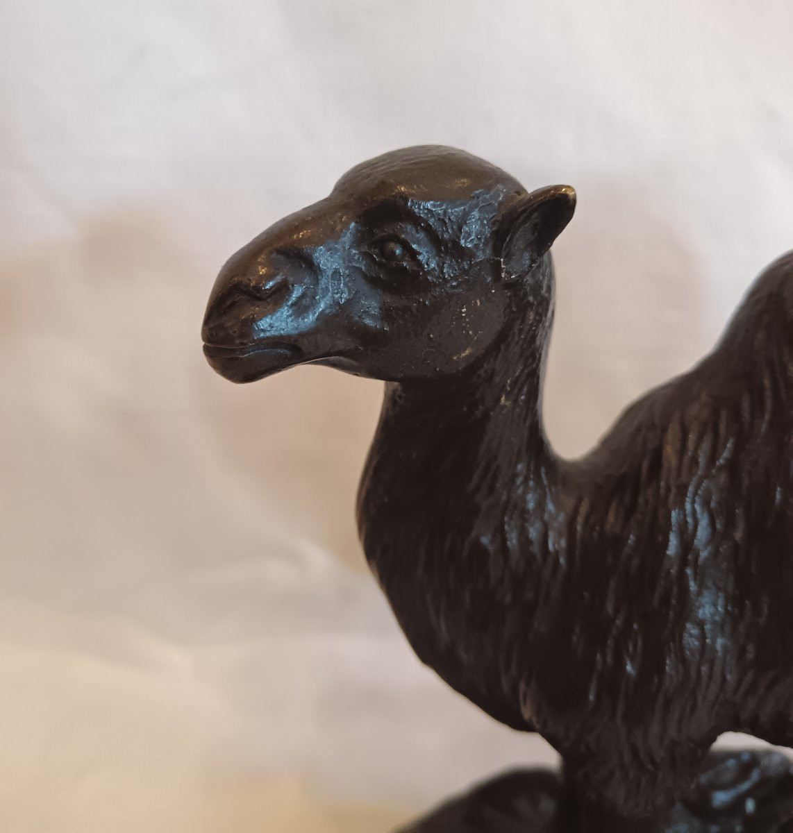 Bronze Camel, Late 19th Century-photo-2