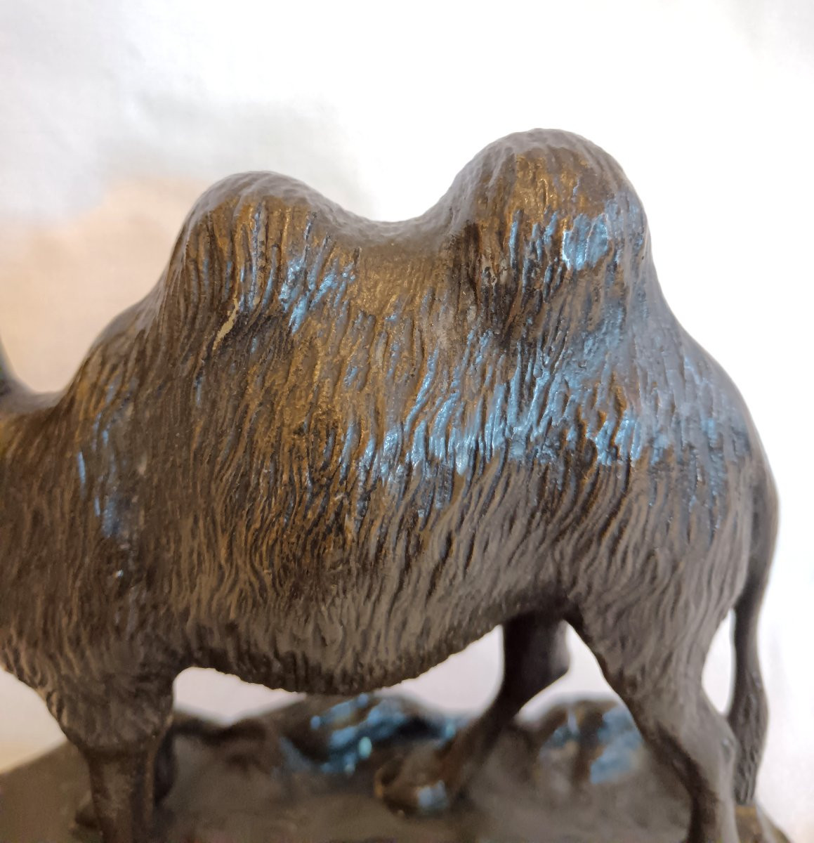 Bronze Camel, Late 19th Century-photo-3