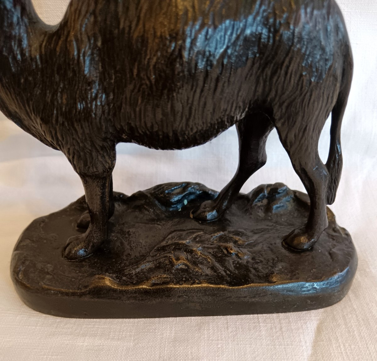Bronze Camel, Late 19th Century-photo-4