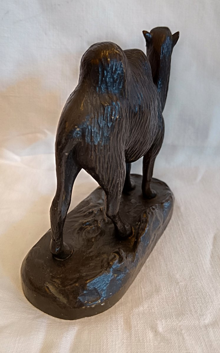 Bronze Camel, Late 19th Century-photo-1